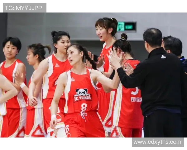 南京排球队个人能力排名创新高引发广泛关注与讨论